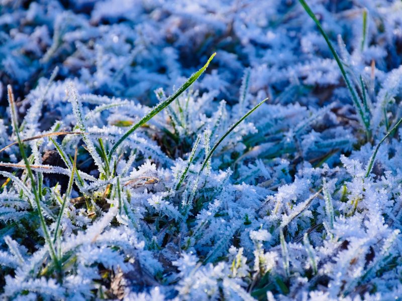 What Are The First And Last Frost Dates? Soil, Grow, Enjoy